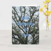 Mit Beileid u. Liebe Karte (Gelbe Blume)