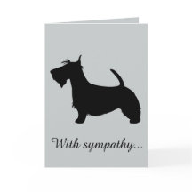 Mit Beileid: Verlust Ihres schottischen Terrier