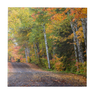 Mit Blättern übersäte Schotterstraße mit Herbstfar Fliese