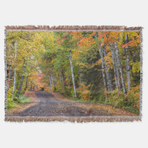 Mit Blättern übersäter Kiesweg mit Herbstfarben Decke