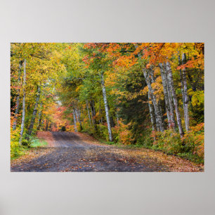 Mit Blättern übersäter Kiesweg mit Herbstfarben Poster