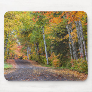 Mit Blättern übersäter Schotterweg mit Herbstfarbe Mousepad