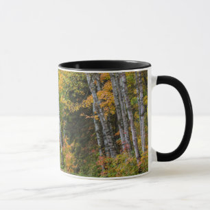Mit Blättern übersäter Schotterweg mit Herbstfarbe Tasse