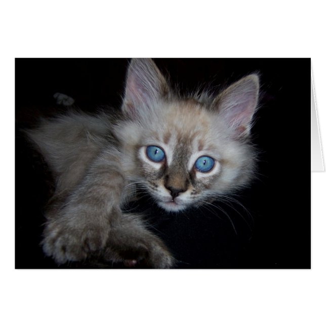 Mit blauen Augen Baby (Vorderseite (Horizontal))