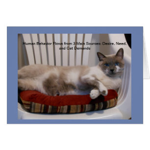 Mit blauen Augen Katzen-Philosoph Notecards