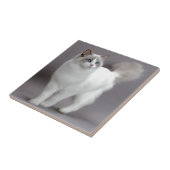Mit blauen Augen Ragdoll Katze Purfection Fliese (Seite)