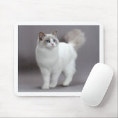 Mit blauen Augen Ragdoll Katze Purfection Mousepad (Mit Mouse)