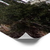 Mit Blick auf den Cannon Park, Charleston SC Poster (Ecke)