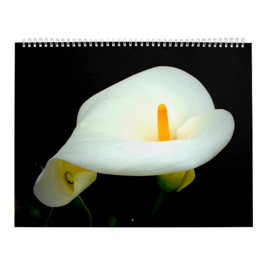 Mit Blumen auf Schwarzem Kalender (Titelbild)