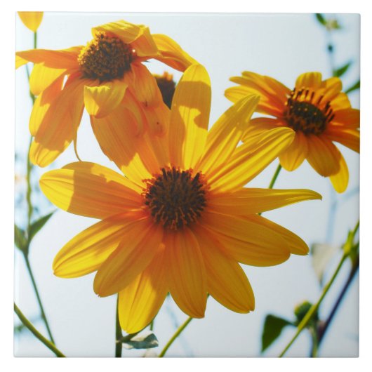 mit Blumen Fliese (Vorderseite)