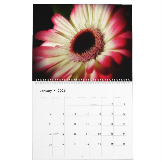 Mit Blumen - großer Kalender (Jan 2026)