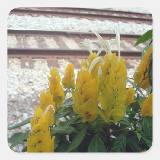 Mit dem Tracksticker Quadratischer Aufkleber (Vorderseite)