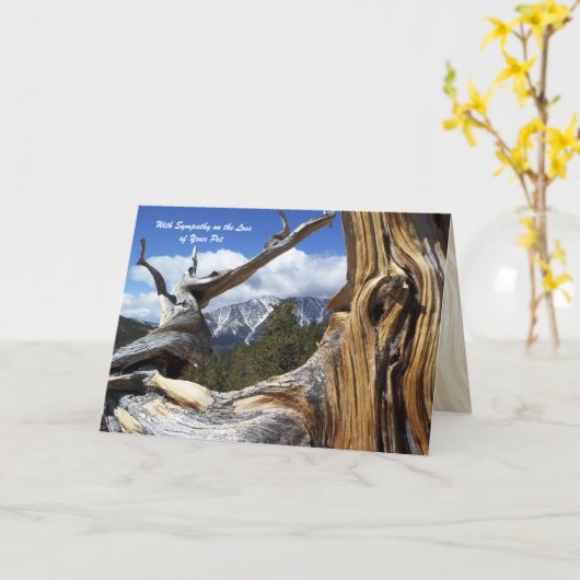 Mit dem Verlust von Beileid Berg Thru Baum Karte (Gelbe Blume)