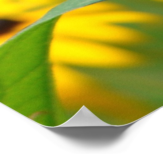 Mit dem Wachsen des Gartens Poster (Ecke)