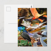 MIT DEM WASSER POSTKARTE (Vorne/Hinten)