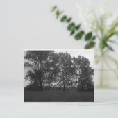 Mit dem Wind wachsende Naturdreifelchen Postkarte (Stehend Vorderseite)
