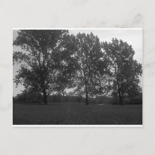 Mit dem Wind wachsende Naturdreifelchen Postkarte
