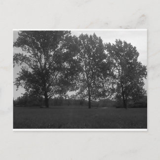 Mit dem Wind wachsende Naturdreifelchen Postkarte