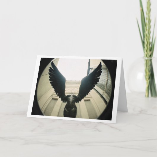 Mit den breiten Flügeln öffnen Sie sich… Karte (Vorderseite)