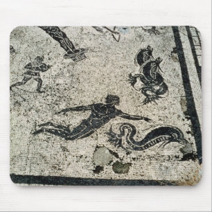 Mit den Delphinen, vom Frigidarium O schwimmen Mousepad