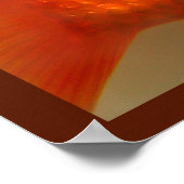 Mit den Fishien schwimmen Poster (Ecke)