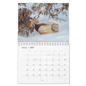 Mit den Laufenten durch das Jahr! Kalender (Jan 2027)