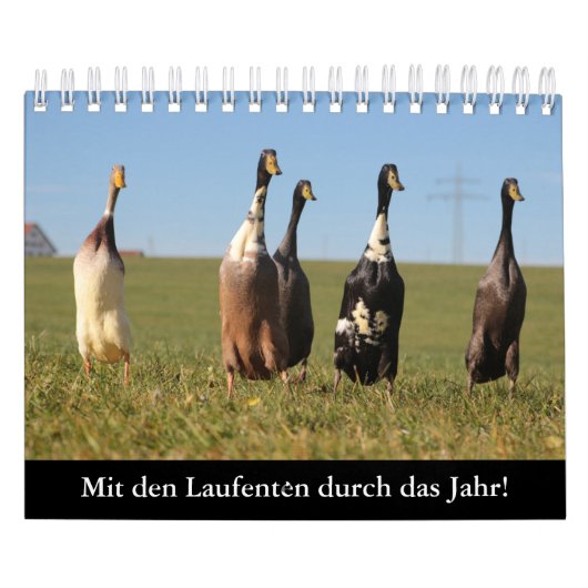 Mit den Laufenten durch das Jahr! Kalender (Titelbild)