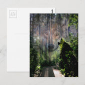 Mit den Wölfen verschwunden Postkarte (Vorne/Hinten)