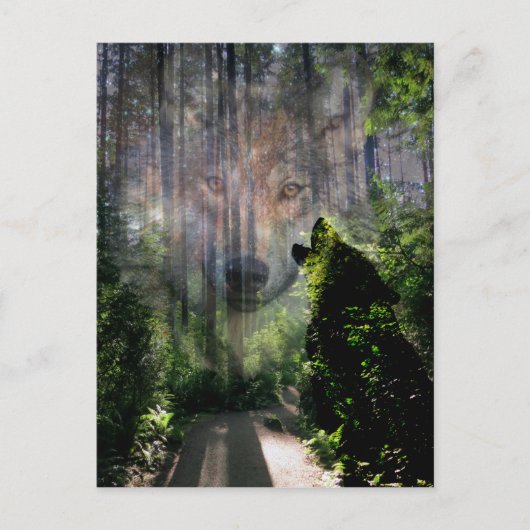 Mit den Wölfen verschwunden Postkarte (Vorderseite)