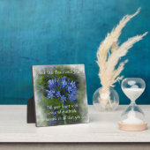 Mit Easel können Sie sich leicht von der Hand bedi Fotoplatte (InSitu)