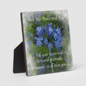 Mit Easel können Sie sich leicht von der Hand bedi Fotoplatte (Vorderseite)