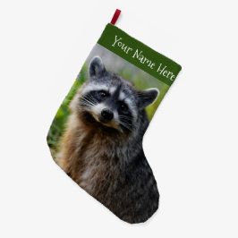 Mit einem nordamerikanischen Raccoon konfrontiert Großer Weihnachtsstrumpf