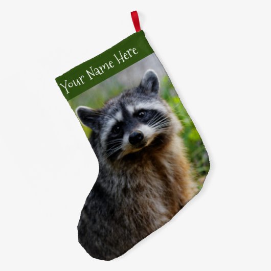 Mit einem nordamerikanischen Raccoon konfrontiert Großer Weihnachtsstrumpf (Rückseite (Hängend))