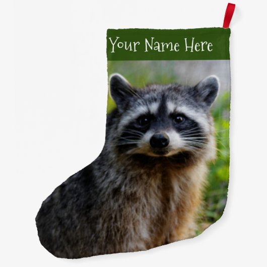 Mit einem nordamerikanischen Raccoon konfrontiert Großer Weihnachtsstrumpf (Rückseite)