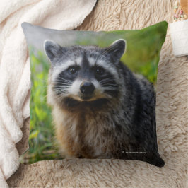 Mit einem nordamerikanischen Raccoon konfrontiert Kissen