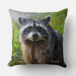 Mit einem nordamerikanischen Raccoon konfrontiert Kissen