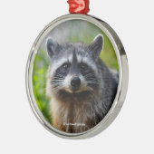 Mit einem nordamerikanischen Raccoon konfrontiert Ornament Aus Metall (Links)