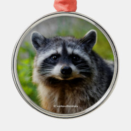 Mit einem nordamerikanischen Raccoon konfrontiert Ornament Aus Metall