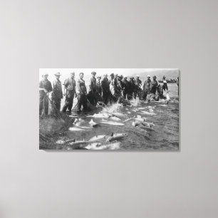 Mit einem Wadenetz fischen der Lachse in Astoria Leinwanddruck