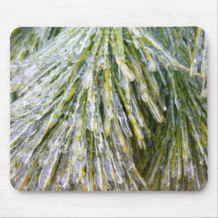 Mit Eis überzogene Kiefernnadeln Winter Botanik Mousepad