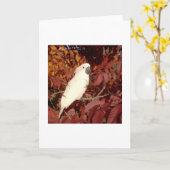 Mit Federn versehene Karte (Gelbe Blume)