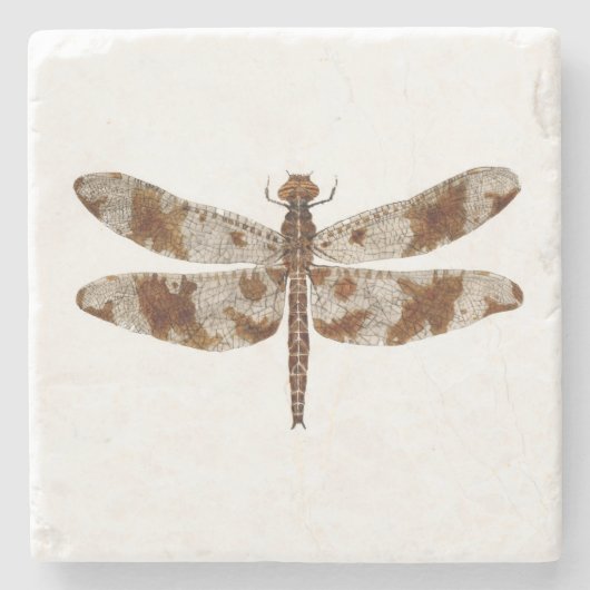 Mit Filigran geschmückte Abstreicheisen-Libelle Steinuntersetzer (Vorderseite)