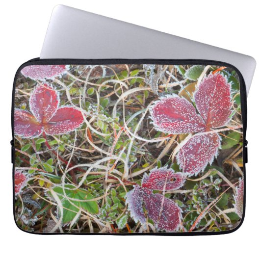 Mit Frost bedeckte Blätter, Kanada Laptopschutzhülle (Vorderseite)