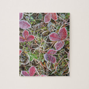 Mit Frost bedeckte Blätter, Kanada Puzzle