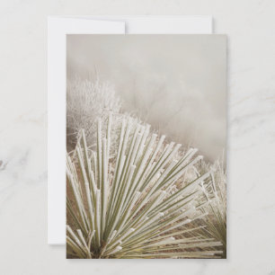 Mit Frost bedeckte Yucca im Winter Dankeskarte