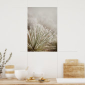 Mit Frost bedeckte Yucca im Winter Poster (Küche)