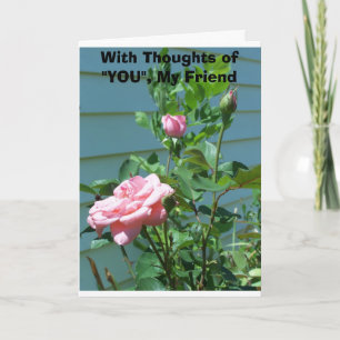 Mit Gedanken über "SIE", mein Freund - rosa Rosen Karte