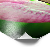 Mit Gott alles Mögliche Inspiration 8x10 Fotodruck (Ecke)