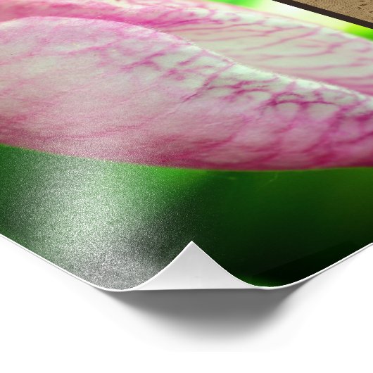 Mit Gott alles Mögliche Inspiration 8x10 Fotodruck (Ecke)