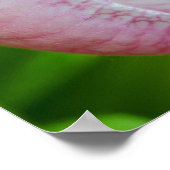 Mit Gott alles Mögliche Inspiration Poster (Ecke)